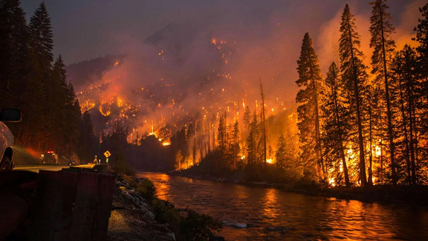 Sources of Environmental Law: Constitutional Mandates, Statutory Enactments, and International Treaties