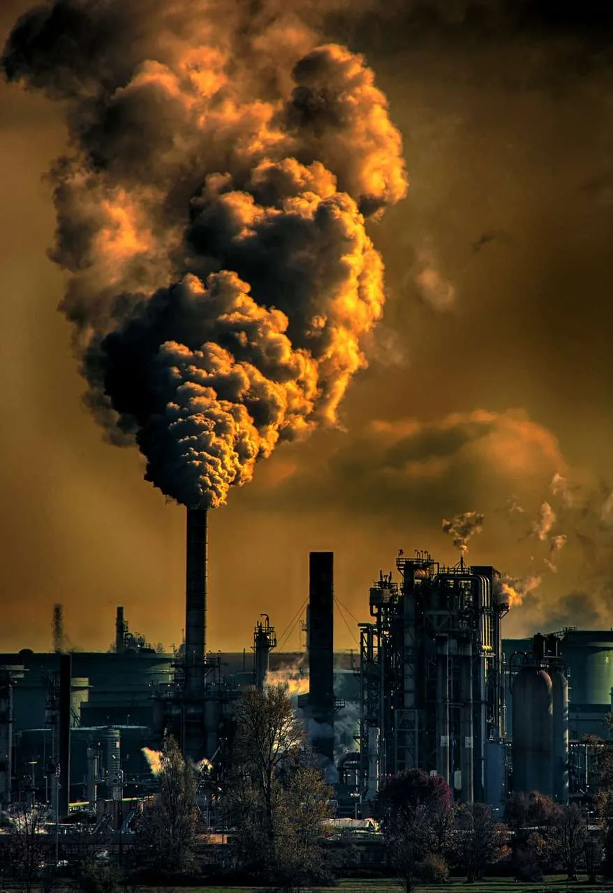 What is Environmental Crime? Types, Impacts, and Remedial Strategies
