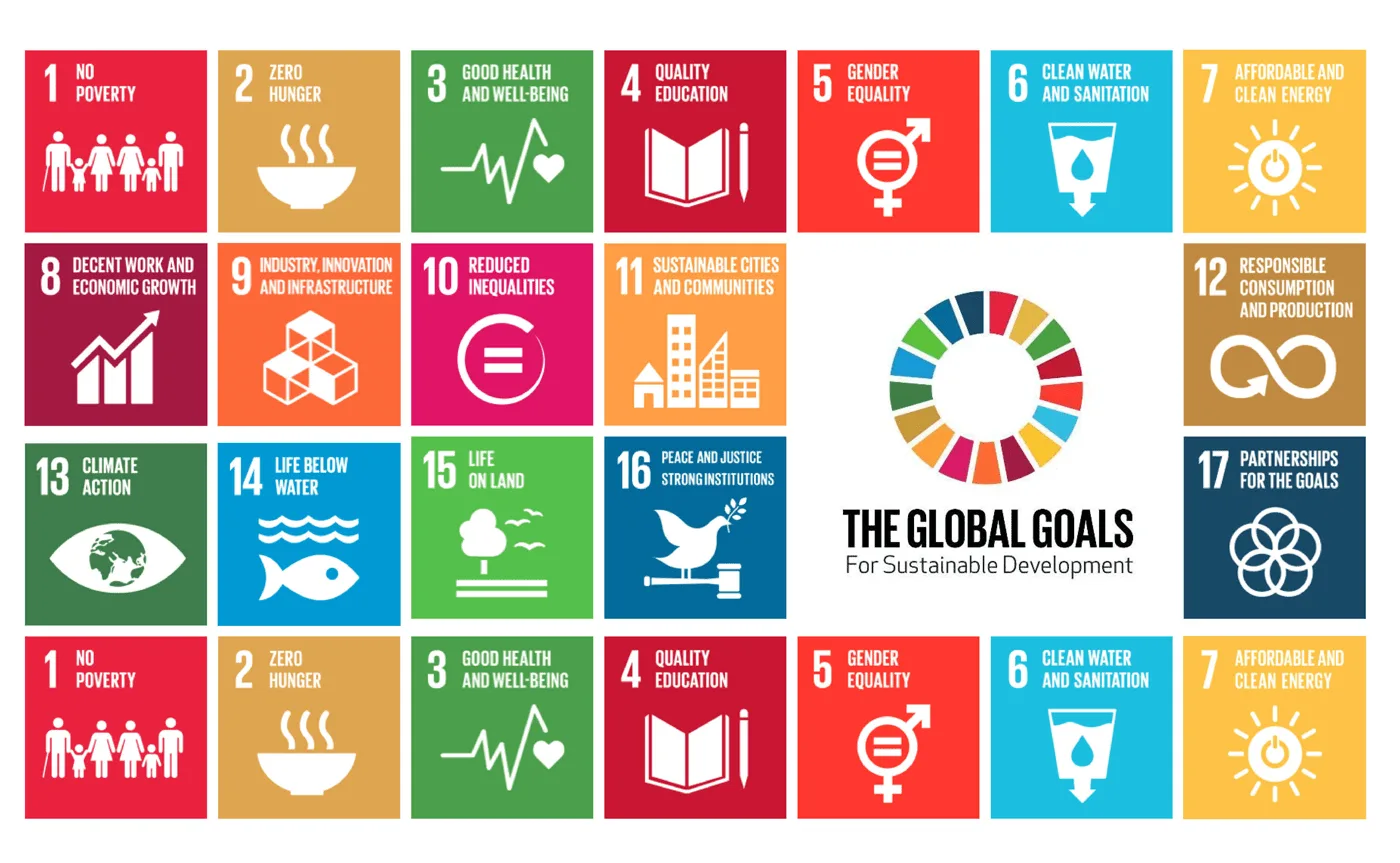 What are the Sustainable Development Goals? Do we need these?
