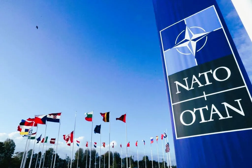 Defining NATO: Institutional Architecture and Operational Mandate